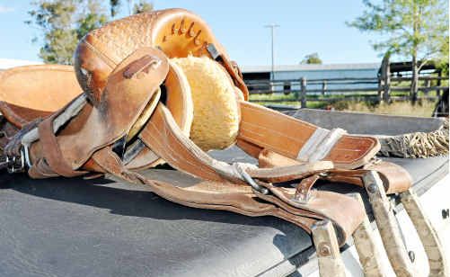 Bronc saddle to aid rider’s grip. Bronc saddle to aid rider’s grip.
